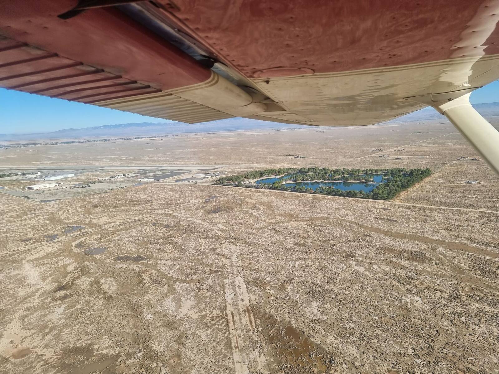 Desert oasis from the air